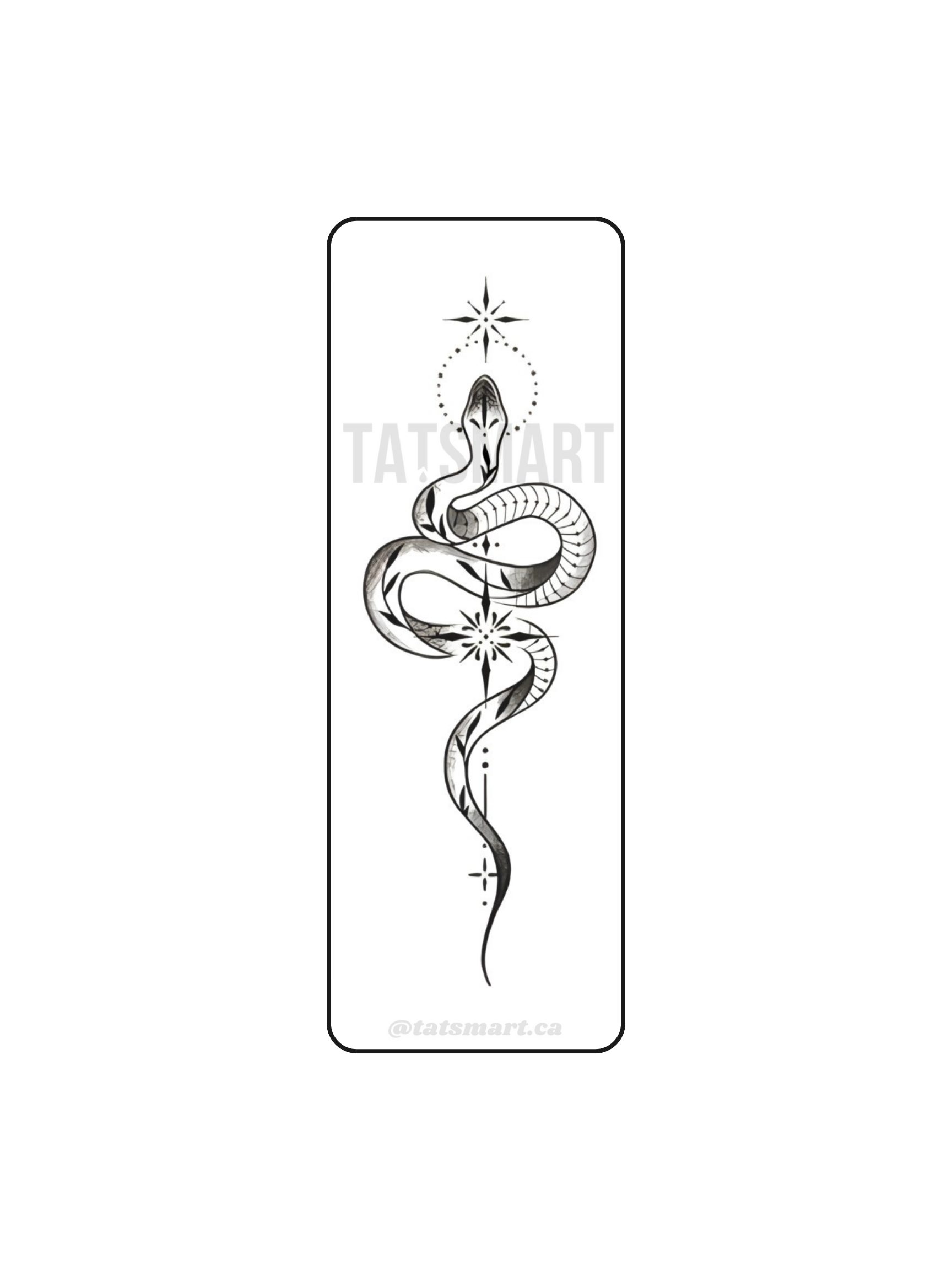 Celestial Serpent Celestial serpent